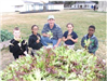 Cohn Elementary School Garden