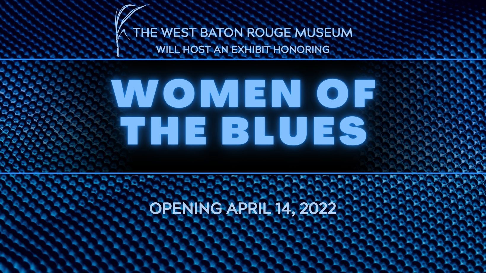 Women Of The Blues Banner
