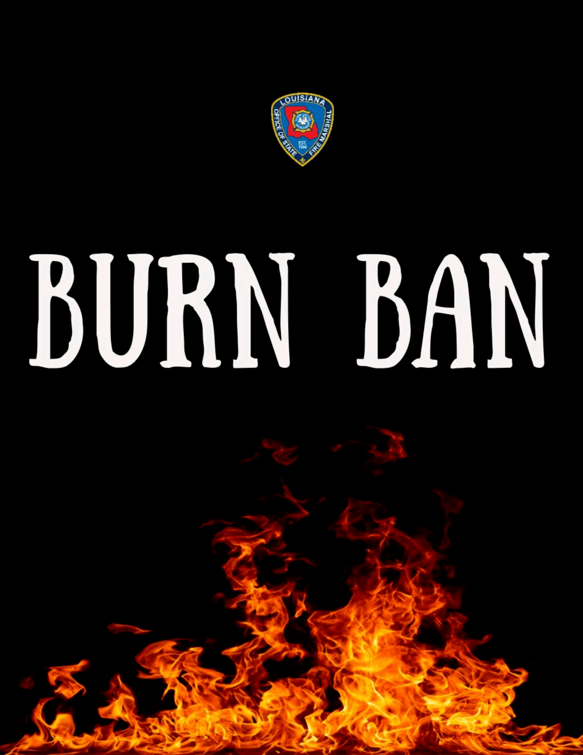 Burn Ban Flyer