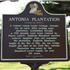 Antonia Plantation