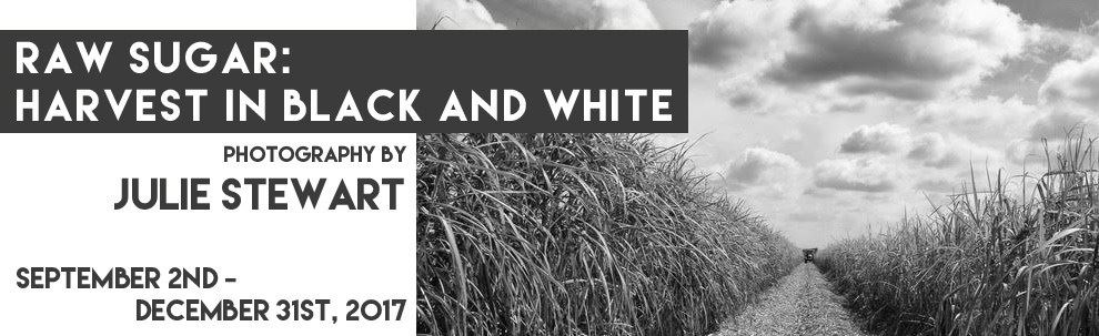 Raw Sugar - Harvest in Black and White